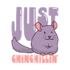 Idée cadeau Chinchilla Lover