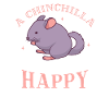 Idée cadeau Chinchilla Lover