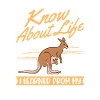 Känguru Australien Australisches Kangaroo