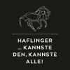 Spruch Pferde - Haflinger - kannste den
