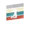 Badminton Retro