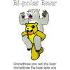 Bi-Polar Bear
