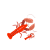 Lobsters eat seafood shellfish