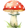 Red mushroom toadstool