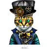 Crazy Cat- Hat