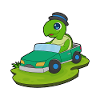 Turtle Car