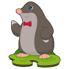 Noeud papillon Mole Gentleman