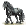 Cheval frison