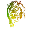 Lion colourful metallic