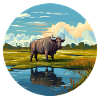 Water Buffalo