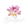 Massage Therapist Physiotherapist Lotus Flower