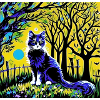 Salem