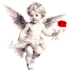 Cupidon avec Rose