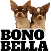 Bono Bella Merch
