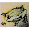 frog