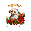 Funny puppy with candlelight