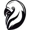 Parrot