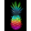 Regenbogen Ananas