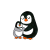 Pinguin United