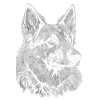 German Shepherd Dog Malinois