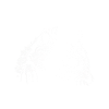 Raccoon