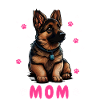 Berger Allemand Malinois
