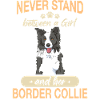 Border Collie Hund Hundebesitzer
