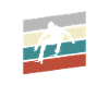 Skating Retro