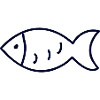 Fishermen Fishery Fish