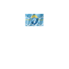 Argentina Flag Chubut