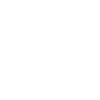 Weiße Rose