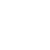 Weiße Rose