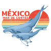 Buckelwale Mexiko
