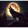 lone wolf