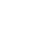 Busfahrerin Busfahrer Linienbus