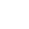 Busfahrer Busfahrerin Linienbus