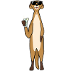 Meerkat with cocktail sunglasses
