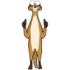 Meerkat thumbs up