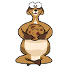 fat meerkat with biscuit