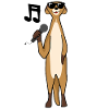 Meerkat sings music