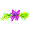 Lotusblüte by Michiangelo