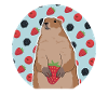 Marmottes Mankai Munggen marmotte cadeau