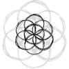 Fleur de vie