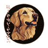 Japanese Golden Retriever