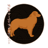 Nova Scotia Duck Tolling Retriever