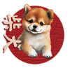 Japanese Shiba Inu Puppy