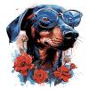Rose dachshund