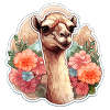 Kamel