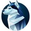 Husky dog like a wolf