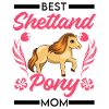 Meilleure maman poney Shetland